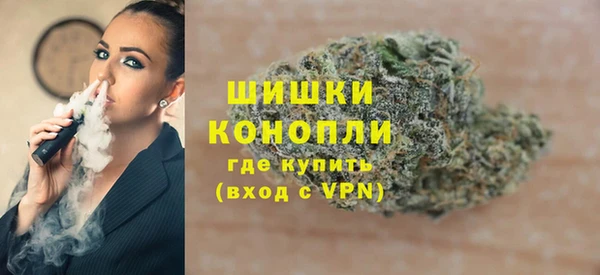 шишки Арсеньев