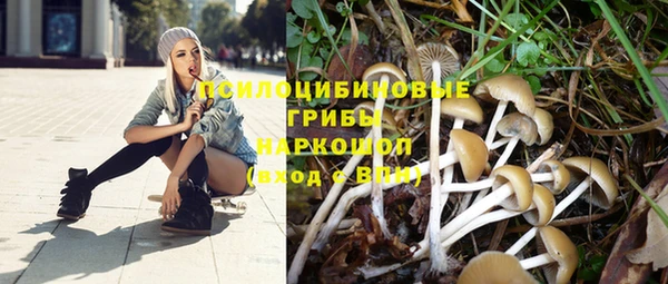 амф Аркадак