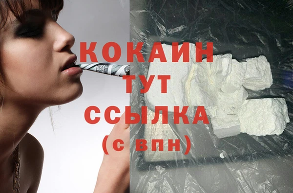 шишки Арсеньев