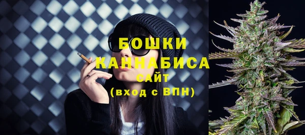 шишки Арсеньев