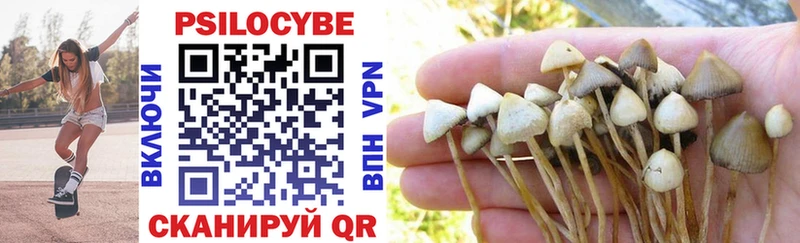 Галлюциногенные грибы Cubensis  Купить где  Жердевка 