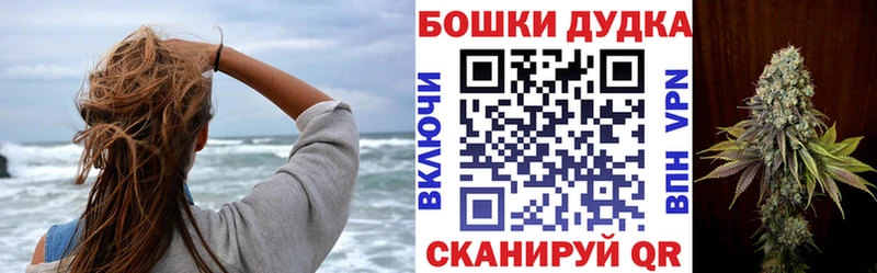 Купить закладки  Жердевка  Бошки Шишки планчик 